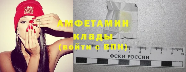 сатива Иннополис