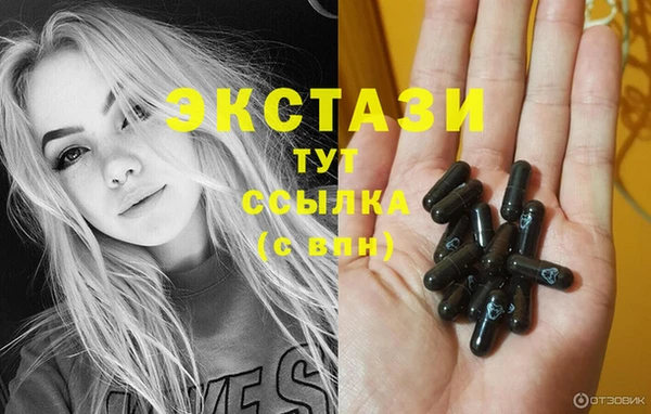 ECSTASY Инсар