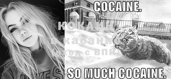 ECSTASY Инсар