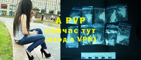 сатива Иннополис