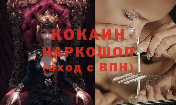 сатива Иннополис