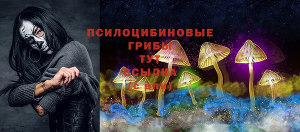 сатива Иннополис