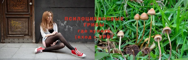 ECSTASY Инсар