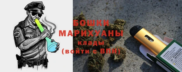 ECSTASY Инсар