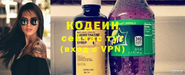 ECSTASY Инсар